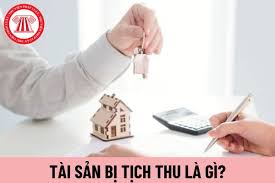 Tài sản bị tịch thu là gì? Tài sản bị tịch thu thì sở hữu thuộc về cơ quan,  tổ chức nào theo quy định hiện nay?