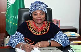 Official Commissioning Of The Incoming Director Of Paughss Remarks By The Commissioner For Human Resources Science And Technology Pan African University