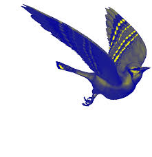 Colorful Birds Flying In The Sky Gif Https Encrypted Tbn0 Gstatic Com Images Q Tbn 3aand9gcrqck1vn1whkripgkjfuociccevpehjpyn67w Usqp Cau