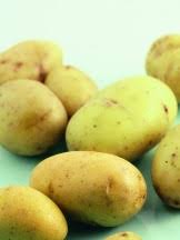 Il succo naturale di patata cruda ha potenti composti antinfiammatori che lo rendono un ottimo rimedio naturale contro i dolori ai muscoli e alle articolazioni. Patate Possono Essere Tossiche Sale Pepe