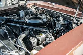 Image result for Saffron 1978 Nova