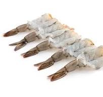 FROZEN SHRIMP - GREENLINE SEAFOOD COMPANY