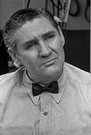 The Real McCoys" Luke the Reporter (TV Episode 1962)