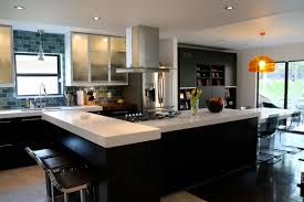 acrylic kitchen cabinets houzz