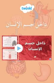 بوربوينت حول موضوع جسم الإنسان curriculum invitations poster