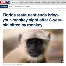 Brandon hatfield escaping the crocodile exhibit after being bitten by the animals. Florida Man On Twitter