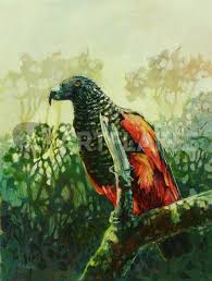 Thomas pesquet has a black belt in judo and enjoys basketball, jogging, swimming, squash and outdoor sports such as mountain biking, kite surfing. Pesquet S Parrot Painting Art Prints And Posters By Geoff Amos Artflakes Com