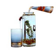 Self Cleaning Desktop Aquarium Walletburn Product Discovery Cleaning Fish Betta Fish Easy Pets