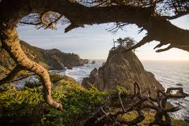Browse 10,591 oregon coast stock photos and images available, or search for oregon or cannon beach to find more great stock photos and pictures. The Oregon Coast Photos Facebook