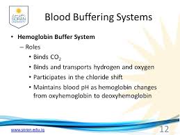 Physiology Blood Buffer System Behrouz Mahmoudi Ppt Video Online Download