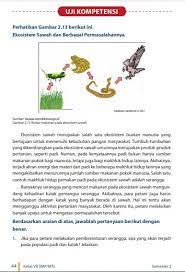 Ipa terpadu 1 untuk smp/mts kelas vii ( k13n ) erlangga. Kunci Jawaban Buku Ipa Kelas 7 Semester 2 Hal 44 46 Uji Kompetensi Solusi Tepat Cari Les Privat