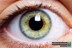 Hospital De Olhos Do Parana Eye 1 Ads Of The World Creative Advertising Clever Advertising Print Ads