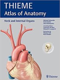 Atlas of anatomy, fourth edition builds on its longstanding reputation of being the highest quality anatomy atlas published to date. Neck And Internal Organs Thieme Atlas Of Anatomy 9781604062885 Medicine Health Science Books Amazon Com