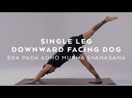 How To Do Single Leg Downward Facing Dog Eka Pada Adho Mukha Svanasana Tutorial With Dylan Werner Online Yoga Videos Downward Facing Dog Home Yoga Practice