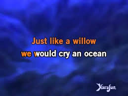 Karaoke It S Now Or Never Elvis Presley