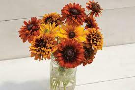 Why grow flowers from seed? How To Plant Grow A Cut Flower Garden Plus 5 Flowers To Get Started