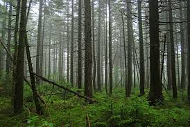 Give your kids the skill of self defense. Best Outdoor Destinations In Syracuse Ny