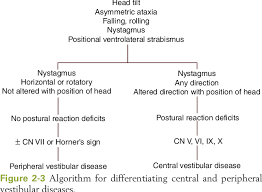 Image result for Neurologic Lesion Localization