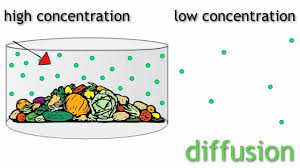 Diffusion Of Gases The Chemistry Journey The Fuse School Chemical Science Gas Chemistry
