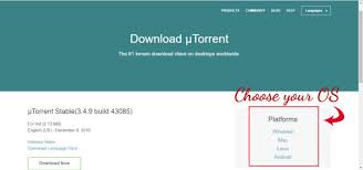 Learn the basic steps involved in buying and downloading a movie. How To Download Movies From Utorrent In 2020 Download Utorrent Movies