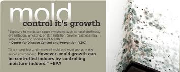 How much does mold inspection cost? Mold Inspection United Fire Water
