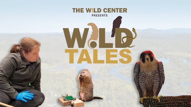 Wild Tales - The Wild Center