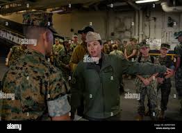 Image result for Brown 2022 Fleet