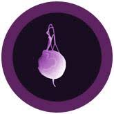 Image result for trichomonas images