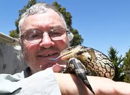 Buangor tree clearing to go ahead