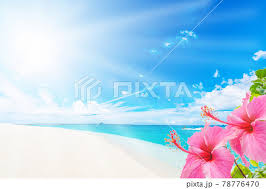 Image result for 沖縄の海