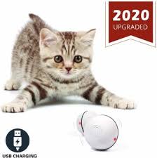 Top 10 Best Robot Cats In 2020 Idsesmedia In 2020 Interactive Cat Toys Cat Toys Cat Exercise