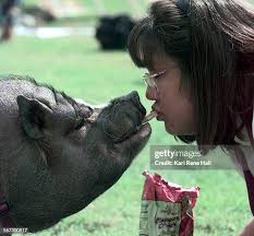 24 Kari Kelley Stock Photos, High-Res Pictures, and Images