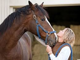 Owning a horse is a big responsibility. The Real Cost Of A Ride 7 Expenses First Time Horse Owners Aren T Expecting Thestreet