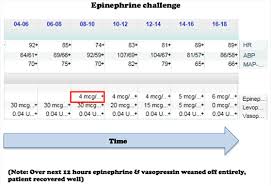 Pulmcrit Epinephrine Challenge In Sepsis An Empiric