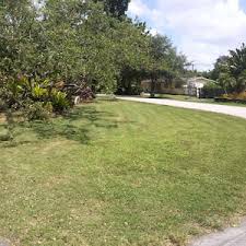 It's a great day to get started on your next diy project. Sunrise Lawn Care Mowing Services Lawn Love Of Sunrise