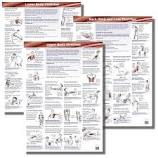 Stretching Charts Anatomical Stretching Charts Stretch Chart