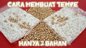 Tempe mempunyai penggemarnya dan khasiat yang tersendiri. Cara Membuat Tempe Sendiri Hanya 2 Bahan Saja Youtube