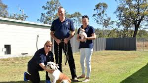 If you're traveling with a large group, you can find rental homes on vrbo that give you the space and comfort you need without sacrificing the whether you're planning a family vacation with your pet, a relaxing weekend getaway, or an adventurous excursion, vacation rentals are ideal for trips of all types. Couple Leaves 47 Year Meat Career Behind Buys Pet Kennel The Courier Mail