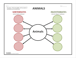 Flow Chart Of Vertebrates And Invertebrates Diagram