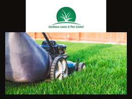 All of our expert technicians are regularly trained so they can efficiently and effectively take care of your pest and lawn problems! 2019 Winners