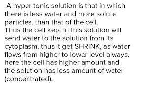 When the plant cell is placed in a hypotonic solution , it takes up water by osmosis and starts to swell, but thecell wall prevents it from bursting. Give Reason Why Plant Cell Shrink When Kept In Hypertonic Solution Brainly In