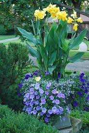 Pin On Container Flower Garden