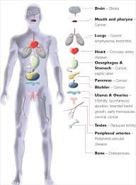 9 Free Body Diagram Free Printable Download Free