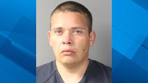 Woman nearly bitten by tiger after hopping fence at zoo, sticking her hand  in pen