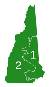 2020 New Hampshire Democratic Presidential Primary Wikipedia