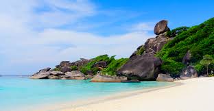 images?q=tbn:ANd9GcSvf79Zh0JIVwvGWCu3YUE