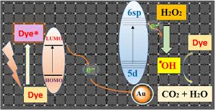 Guide to complete reflex application form. Efficient Synthesis Of A New Heterogeneous Gold Nanocatalyst Stabilized By Di Alkyne Ligand And Its Applications For Photocatalytic Dye Degradation And Transfer Hydrogenation Reaction Springerlink