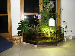 Paludarium Aquascape Fish Tank Aquarium Store