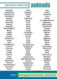 Pin By Gabriela Havelkova On Language Describing Words Writing Words Learn English Words