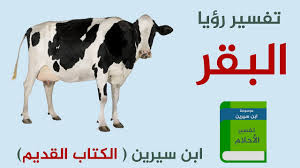 تفسير رؤية البقر لابن شاهين. ØªÙØ³ÙŠØ± Ø±Ø¤ÙŠØ© Ø§Ù„Ø¨Ù‚Ø± ÙÙŠ Ø§Ù„Ù…Ù†Ø§Ù… Ù„Ù„Ø±Ø¬Ù„ Ø§Ù„Ù…ØªØ²ÙˆØ¬